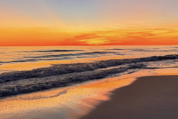 15 Things to Do in Sandestin, Florida (That Guests Always Love)